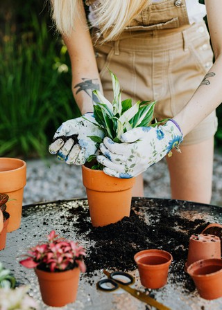 Atelier Initiation végétale, Vacances en famille, Loisirs-créativité